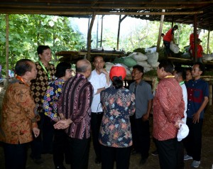 Presiden Jokowi saat melakukan peninjauan