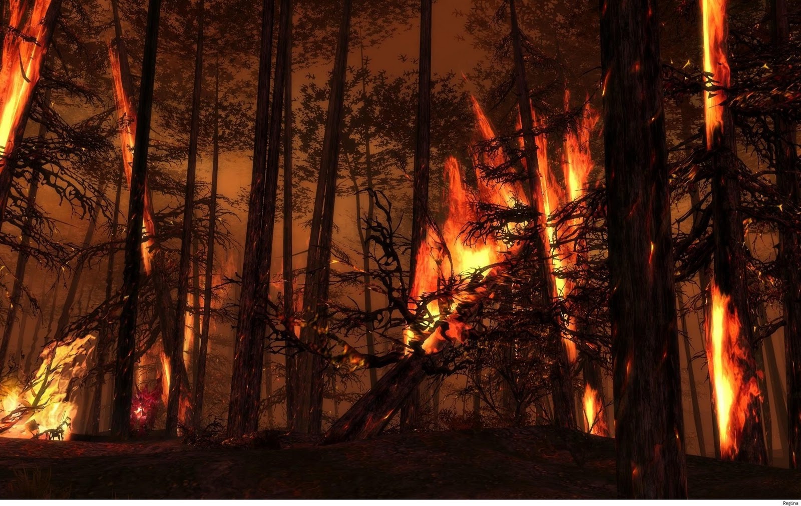 Kebakaran Hutan