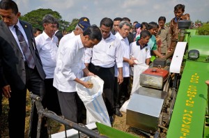 Presiden Jokowi memeriksa hasil panen petani, pada sebuah acara blusukannya, di sebuah daerah, beberapa waktu lalu