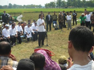 Presiden Jokowi berdialog dengan petani, saat panen raya di Indramayu, Jabar, Rabu (18/3) siang