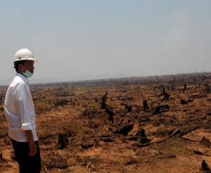Jokowi tinjau lokasi pemadaman