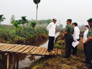 Presiden Jokowi saat meninjau lokasi kebakaran huta di Desa Rimbo Panjang Kecamatan Tambang Kabupaten Kampar, Riau, Jumat (9/10).