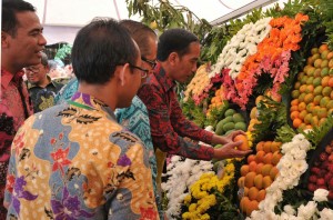 Presiden Jokowi menyaksikan buah lokal pada Festival Buah dan Bunga Nusantara, Bogor, Sabtu (28/11) pagi.