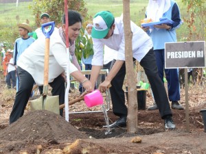 Presiden Jokowi dan Ibu Negara Iriana menanam pohon pada Hari Cinta Puspa dan Satwa Nasional, di Kab. Banjar, Kalsel, Kamis (26/11)