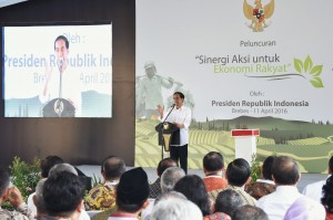 Presiden Jokowi meluncurkan program "Sinergi Aksi untuk Ekonomi Rakyat", di Kabupaten Brebes, Jateng, Senin (11/4) siang. (Foto: Agung/Humas) 