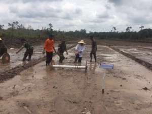 Menteri Pertanian Amran Nasution saat melakukan penyemaian padi perdana, di Bukit Langkap, Kabupaten Lingga, Kamis (7/9) siang. (Humas Kepri)  