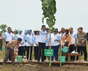 President Jokowi leads the simultaneous plantation of 238,000 trees, inTasikharjo Village, Jenu Subdistrict, Tuban Regency, East Java, Monday (28/11). 