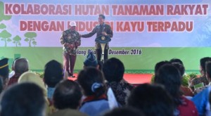 Presiden Jokowi berdialog dengan salah seorang warga Pulang Pisau, Kalteng, Selasa (20/12). (Foto: BPMI/Laily)