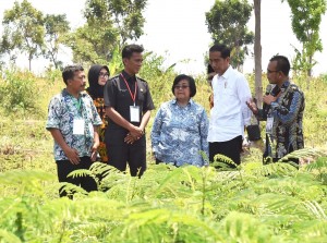 Presiden Jokowi saat meninjau lokasi dalam acara Perhutanan Sosial untuk Pemerataan Ekonomi, di Desa Brani Wetan, Kecamatan Maron, Kabupaten Probolinggo, Jawa Timur,  Kamis (2/11). (Foto: BPMI)