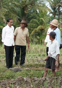 Presiden saat meninjau pelaksanaan padat karya tunai irigasi kecil dan jalan produksi di Desa Kukuh, Kecamatan Marga, Kabupaten Tabanan, Provinsi Bali, Jumat (23/2). (Foto: BPMI)