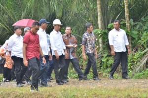 Presiden Joko Widodo (Jokowi) meninjau Kegiatan Program Padat Karya di Kabupaten Dharmasraya, Rabu (7/2). (Foto: Humas/Jay)