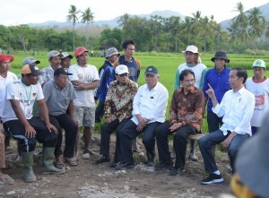 President Jokowi accompanied by a number of ministers has a dialog with the participants of cash labor-intensive program in Pernek Village, Sumbawa, West Nusa Tenggara (NTB), Monday (30/7) (Photo: PR/Nia)