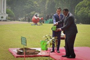 Presiden Jokowi mendampingi Presiden Namibia Hage Gottfried Geingob menanam pohon kayu ulin, di Istana Kepresidenan Bogor, Jawa Barat, Kamis (30/8) siang. (Foto: OJI/Humas) 