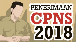 Penerimaan CPNS 2018
