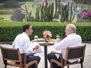 President Jokowi drinks tea with Australian Prime Minister Scott Morrison at the Bogor Palace on Friday (31/8). (Photo by: Public Relations Division of Cabinet Secretariat/ Agung). 