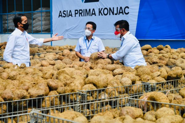 Sekretariat Kabinet Republik Indonesia | Presiden Jokowi: Potensi ...