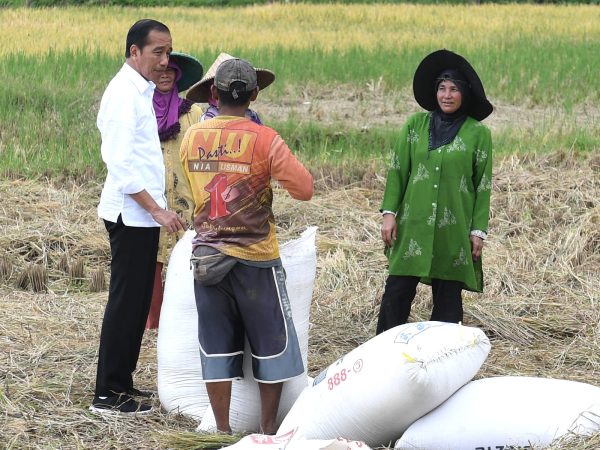 Sekretariat Kabinet Republik Indonesia | Presiden Jokowi Hampiri Petani ...