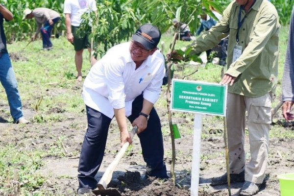 Sekretariat Kabinet Republik Indonesia | President Jokowi Joins Blora ...