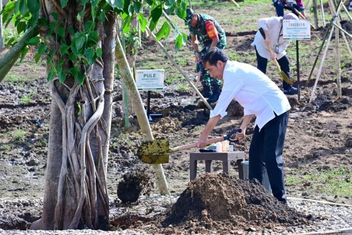 Sekretariat Kabinet Republik Indonesia | President Jokowi: Tree ...