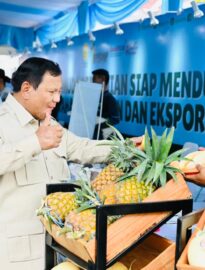 Presiden Prabowo Subianto melakukan peninjauan berbagai inovasi hilirisasi dan teknologi pertanian modern dalam rangkaian kegiatan Panen Raya di Desa Kertamukti, Kabupaten Karawang, Provinsi Jawa Barat, pada Rabu, 7 Januari 2026.