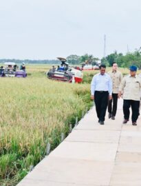 Presiden Prabowo Subianto secara resmi mengumumkan keberhasilan Indonesia mencapai swasembada pangan nasional tahun 2025 saat menghadiri Panen Raya di Desa Kertamukti, Kabupaten Karawang, Provinsi Jawa Barat, pada Rabu, 7 Januari 2026.