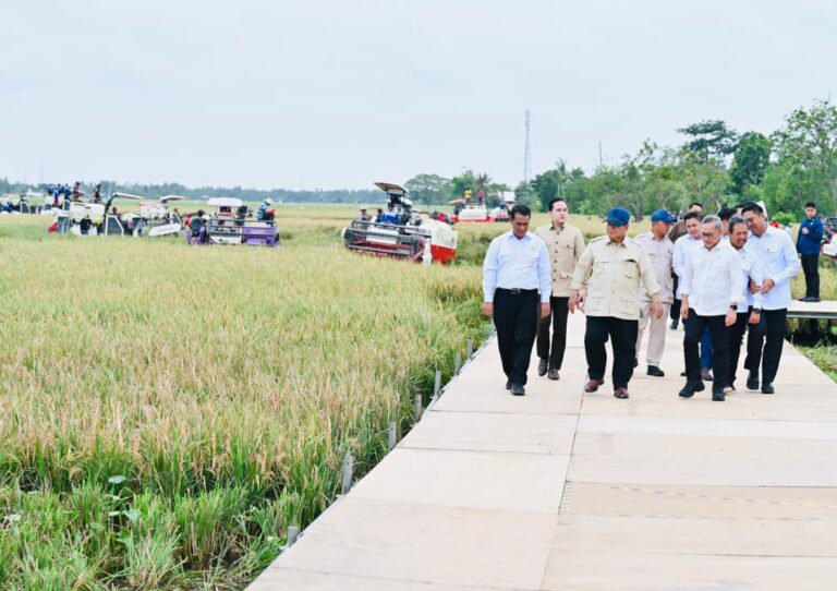 Presiden Prabowo Subianto secara resmi mengumumkan keberhasilan Indonesia mencapai swasembada pangan nasional tahun 2025 saat menghadiri Panen Raya di Desa Kertamukti, Kabupaten Karawang, Provinsi Jawa Barat, pada Rabu, 7 Januari 2026.