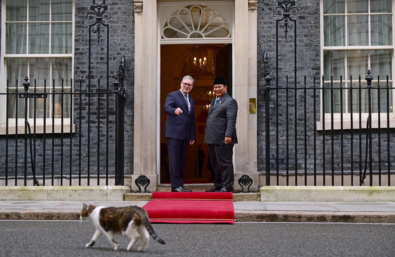 Larry the Cat, Chief Mouser to the Cabinet Office turut menyambut kedatangan Presiden Prabowo di Kantor PM Inggris, Downing Street, London, pada Selasa, 20 Januari 2026.
